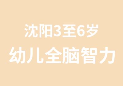 沈阳3至6岁幼儿全脑智力开发培训