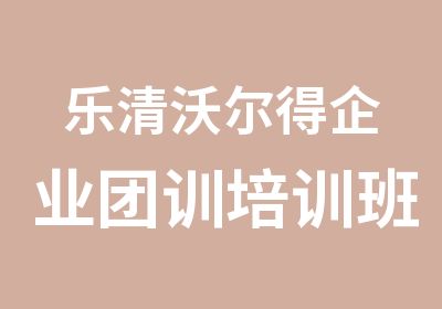 乐清沃尔得企业团训培训班