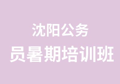 沈阳公务员暑期培训班