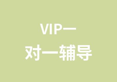 VIP辅导