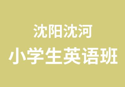 沈阳沈河小学生英语班