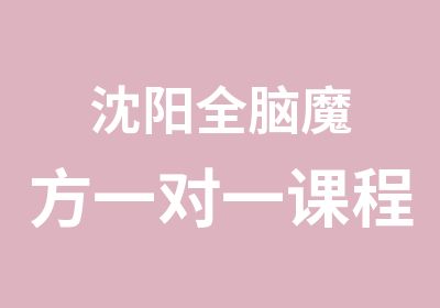 沈阳全脑魔方课程