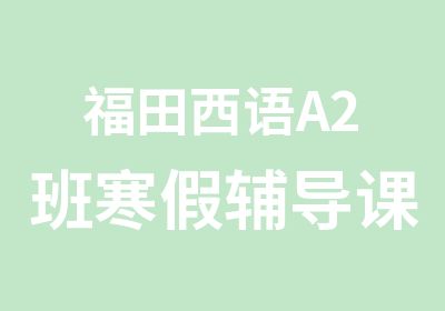 福田西语A2班寒假辅导课程