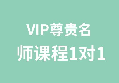 VIP尊贵课程1对1New