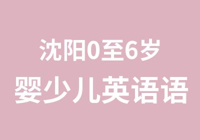 沈阳0至6岁婴少儿英语语言早教