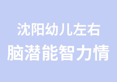 沈阳幼儿左右脑潜能智力情商训练开发