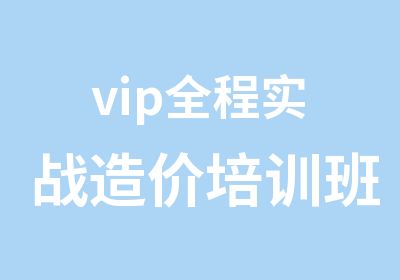 vip全程实战造价培训班