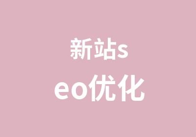 新站seo优化