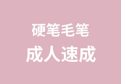 硬笔毛笔成人速成