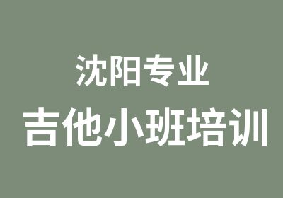 沈阳专业吉他小班培训