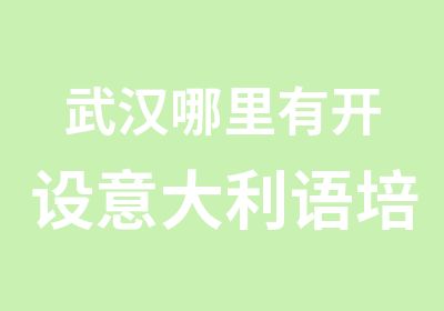 武汉哪里有开设意大利语培训课程