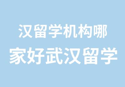 汉留学机构哪家好武汉留学中心哪家好