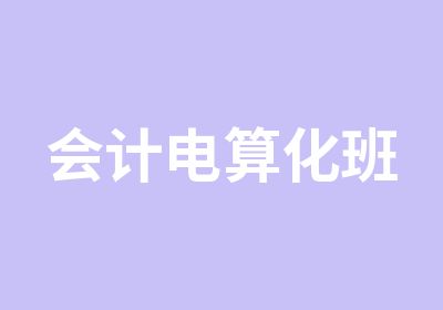 会计电算化班