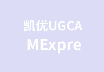 凯优UGCAMExpress培训