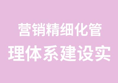 营销精细化管理体系建设实务