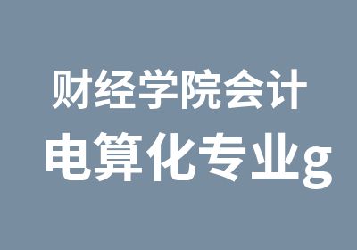 财经学院会计电算化专业gykjcj