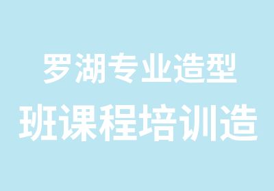 罗湖专业造型班课程培训造型设计学习班