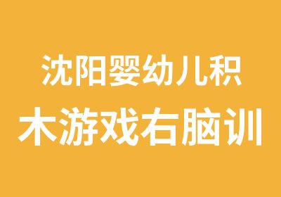 沈阳婴幼儿积木游戏右脑训练