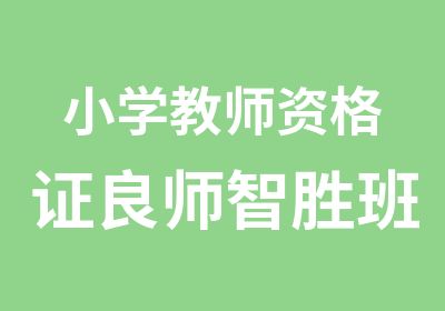 小学教师资格证良师智胜班协议版