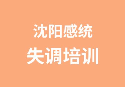 沈阳感统失调培训