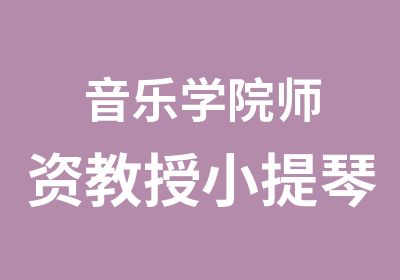 音乐学院师资教授小提琴