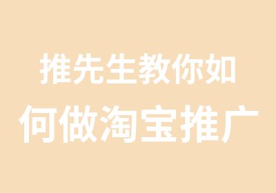 推先生教你如何做推广