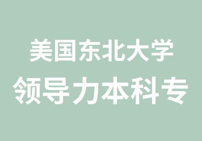 美国东北大学领导力本科专业