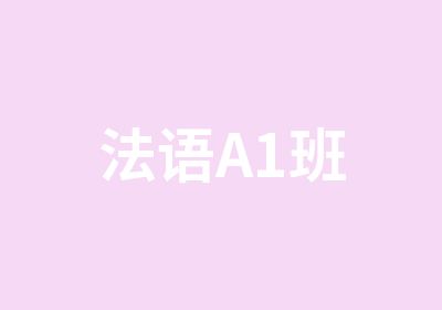 法语A1班