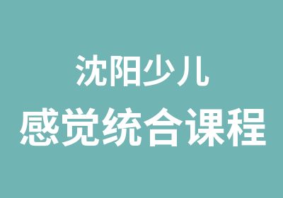 沈阳少儿感觉统合课程