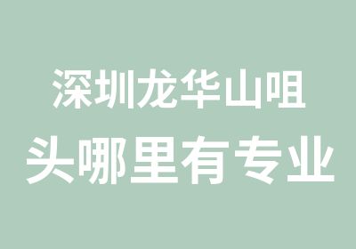 深圳龙华山咀头哪里有专业设计培训