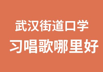 武汉街道口学习唱歌哪里好