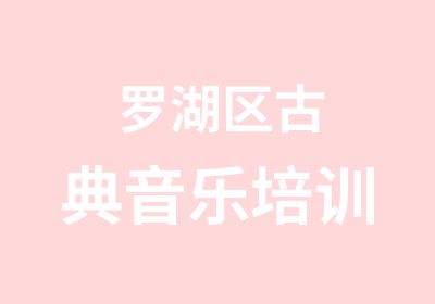 罗湖区古典音乐培训