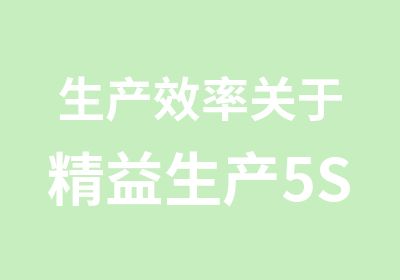 生产效率关于精益生产5S现场改善