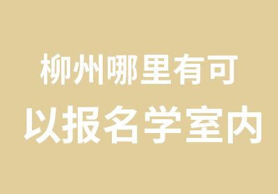 柳州哪里有可以报名学室内设计平面广告的