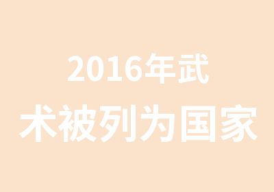 2016年武术被列为重点扶持项目