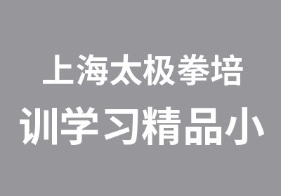 上海太极拳培训学习精品小班