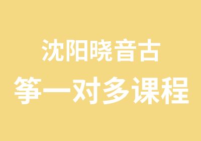 沈阳晓音古筝一对多课程