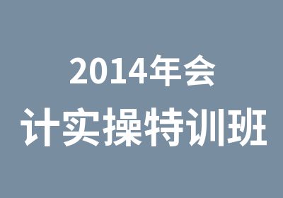 2014年会计实操特训班