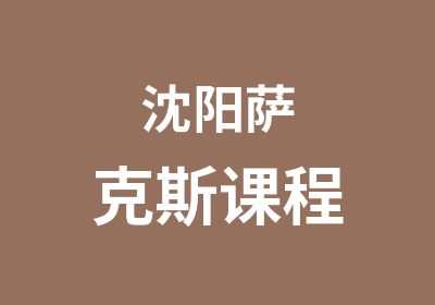 沈阳萨克斯课程