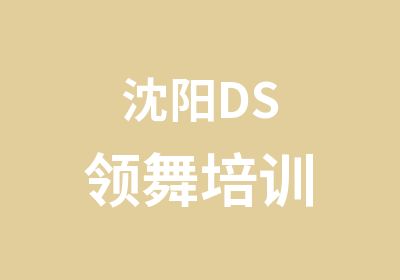 沈阳DS领舞培训