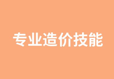 专业造价技能