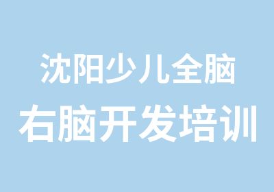 沈阳少儿全脑右脑开发培训