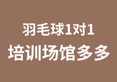 羽毛球1对1培训场馆多多自由选择