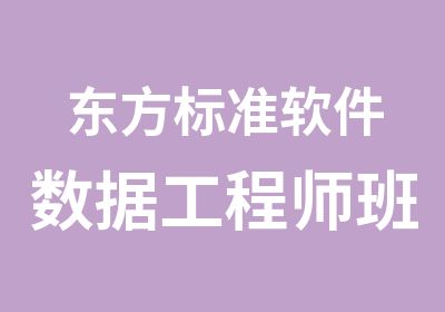 东方标准软件数据工程师班培训