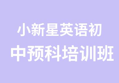 小新星英语初中预科培训班初中英语预备班