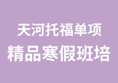 天河托福单项精品寒假班培训