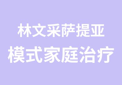 林文采萨提亚模式家庭治疗专业工作坊