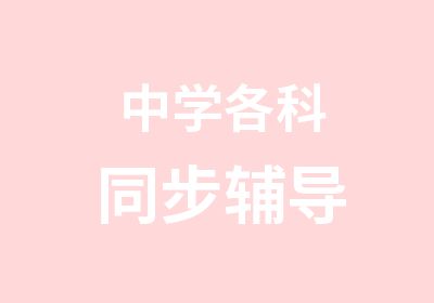 中学各科同步辅导