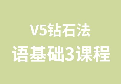 V5钻石法语基础3课程