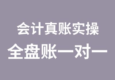 会计真账实操全盘账教学